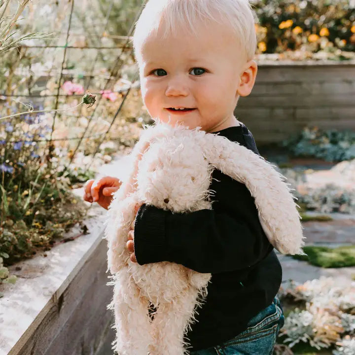 Harey the Bunny