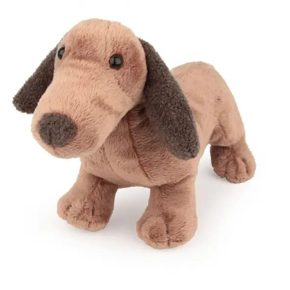 Edward the Stuffed Dog