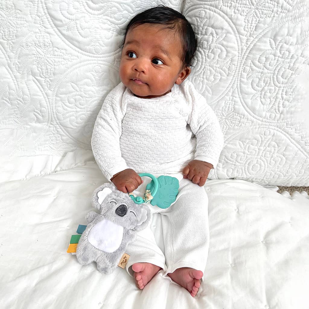 Itzy Pal™ Plush + Teether - Strawberry