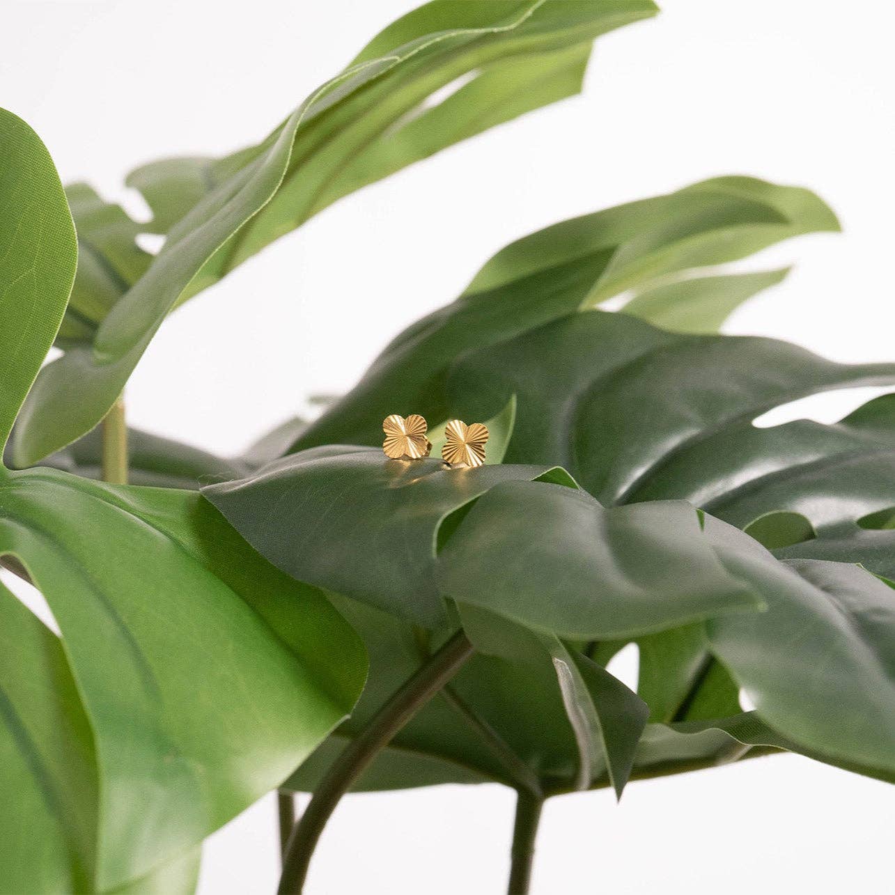 18K Gold PVD Stainless Steel Clover Stud Earrings