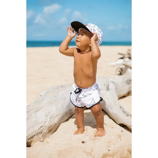 Rex Boardies