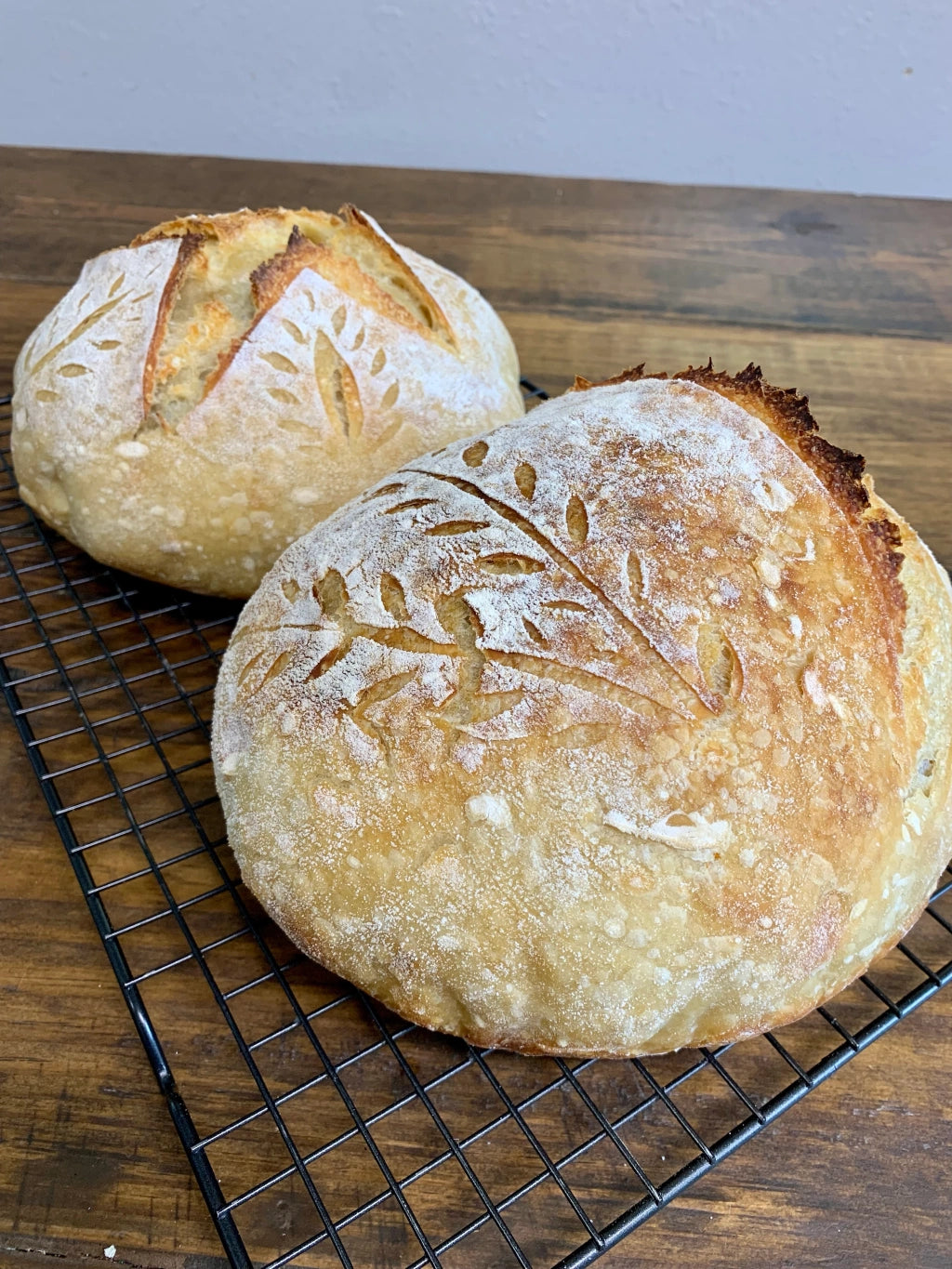 Sourdough Starter - Dehydrated