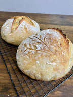 Sourdough Starter - Dehydrated