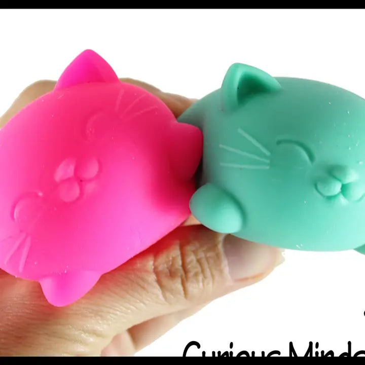 1 Cat Nee Doh Soft Fluff- Filled Squeeze Stress Ball