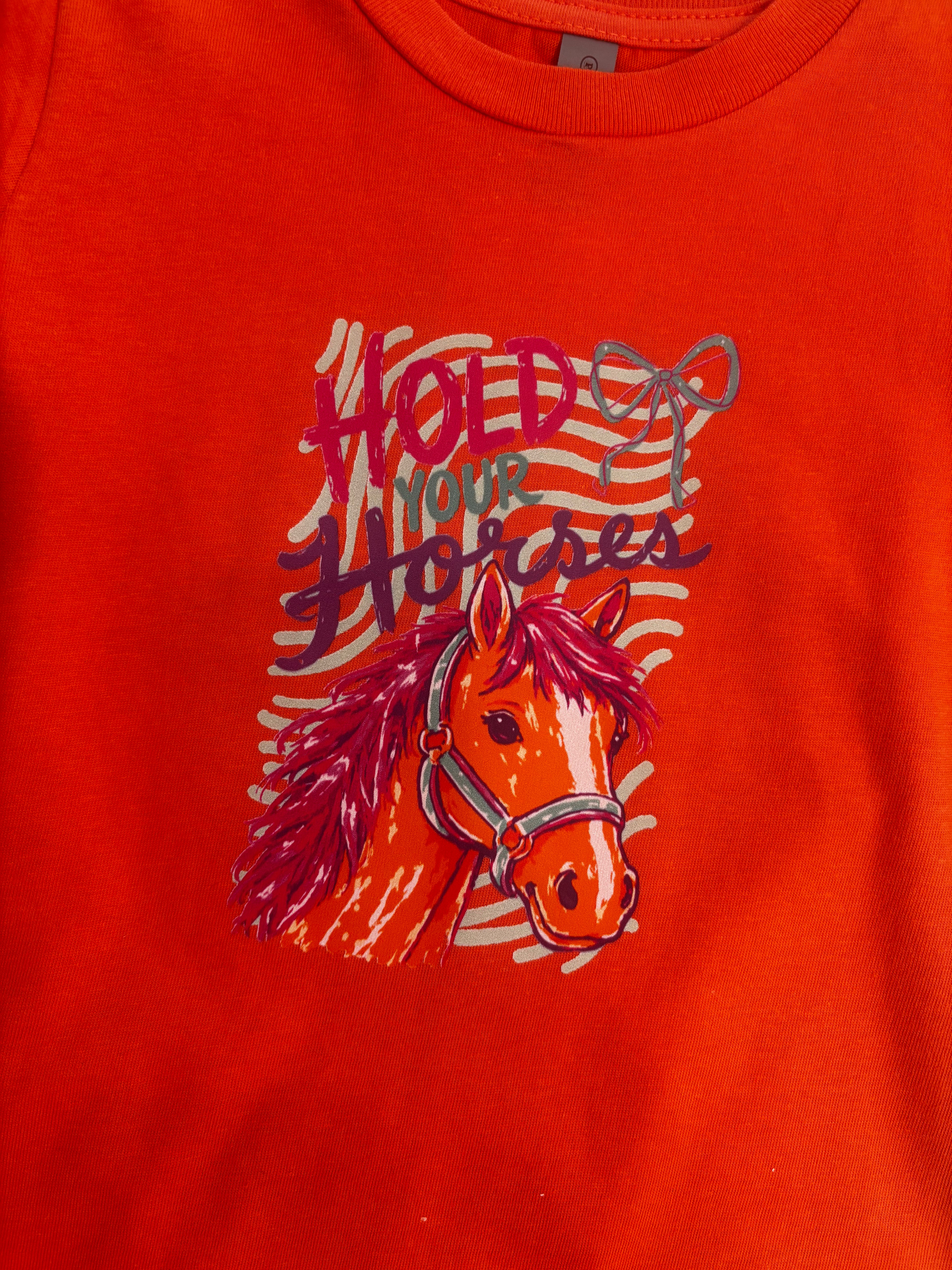 Hold Your Horses Graphic