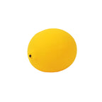 Farm Fresh Squishy Fruit