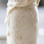 Sourdough Starter - Dehydrated