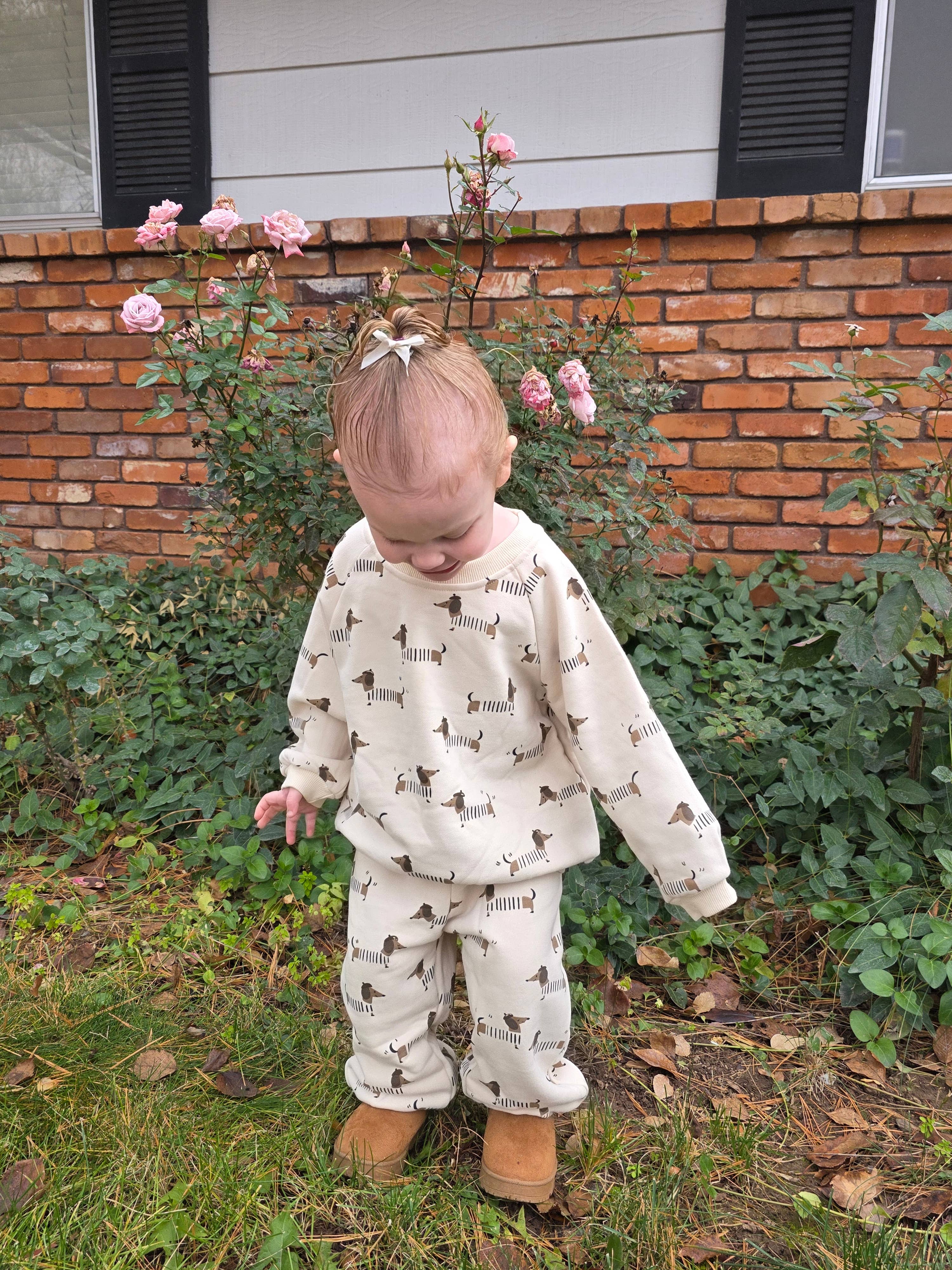 French Puppy Playsuit/ Crewneck & Joggers