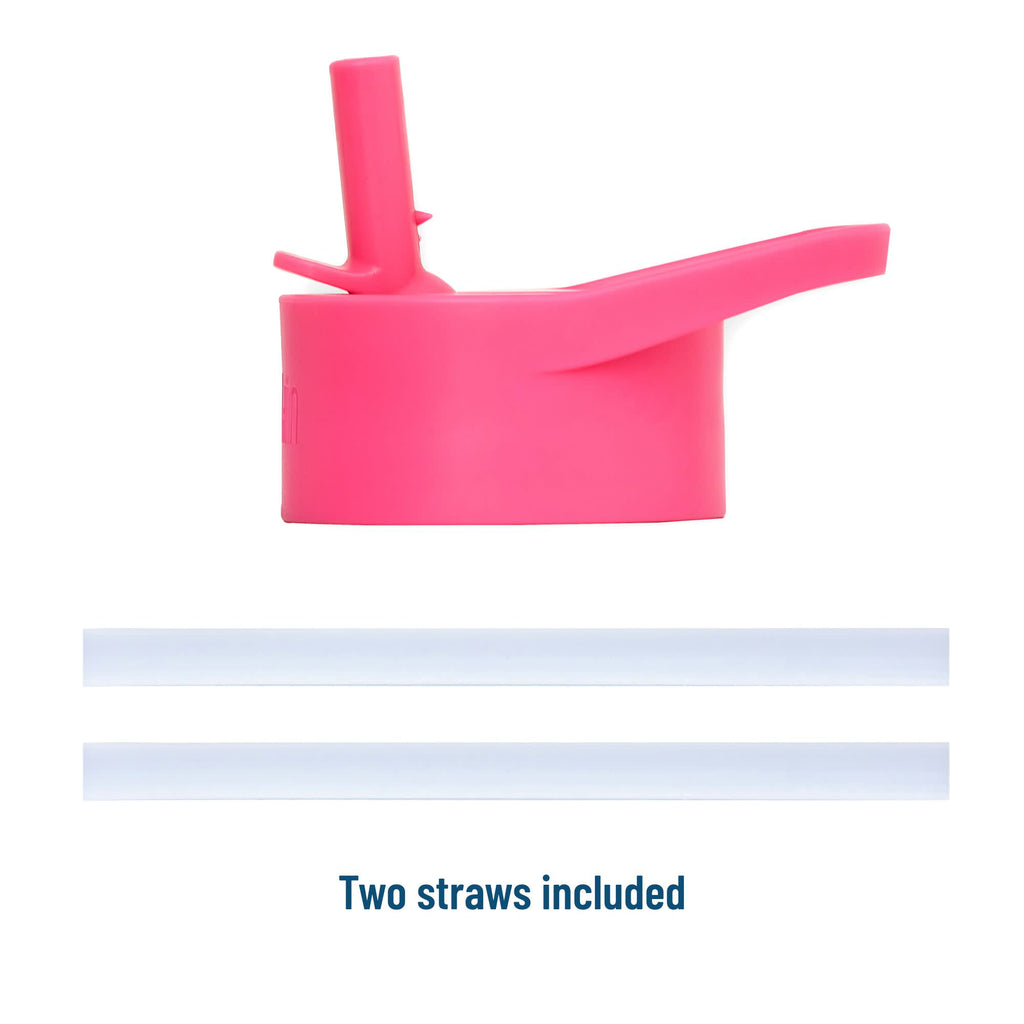 Strawberry Patch 14 oz Steel Bottle