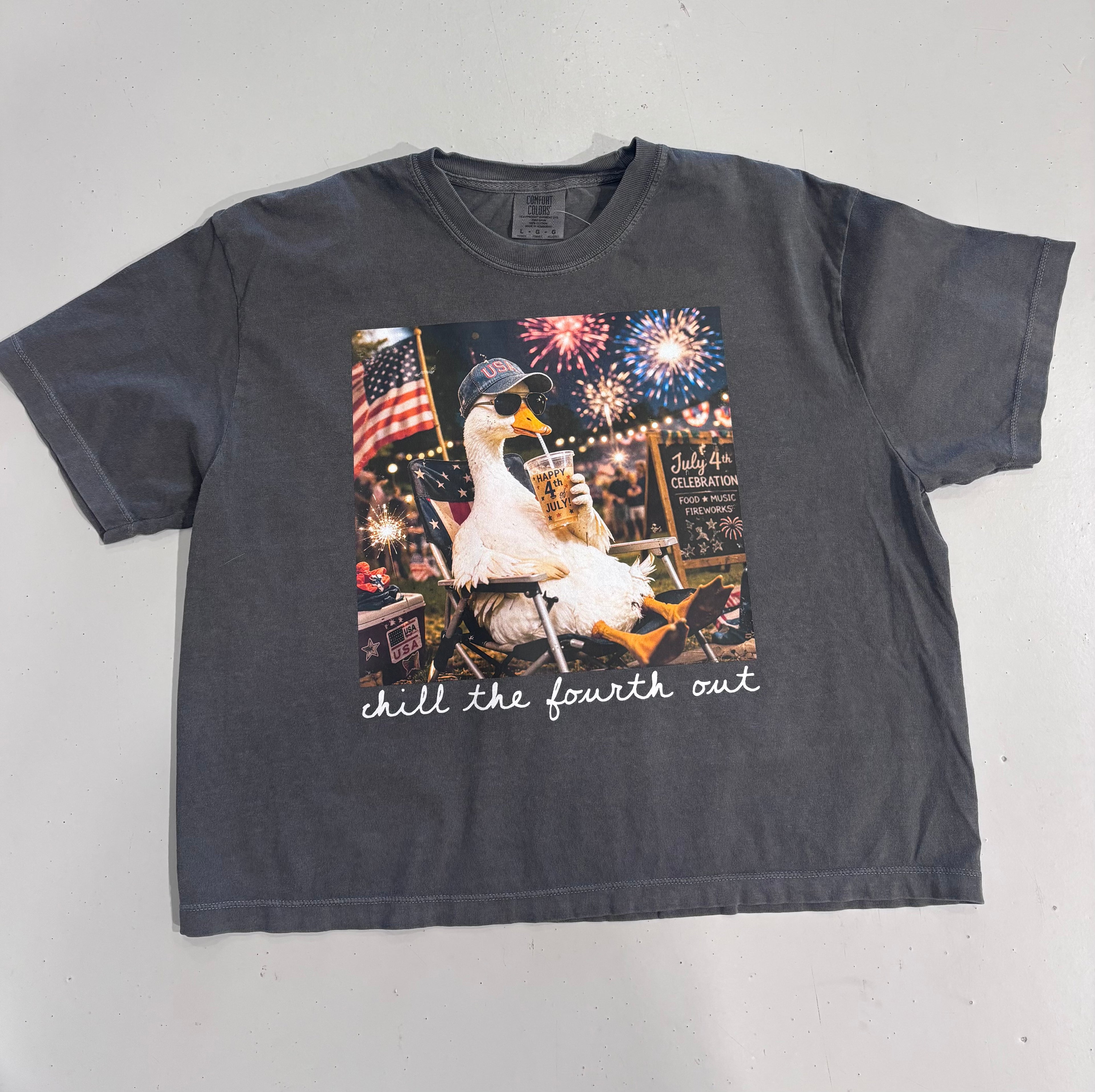 4th of July Goose T